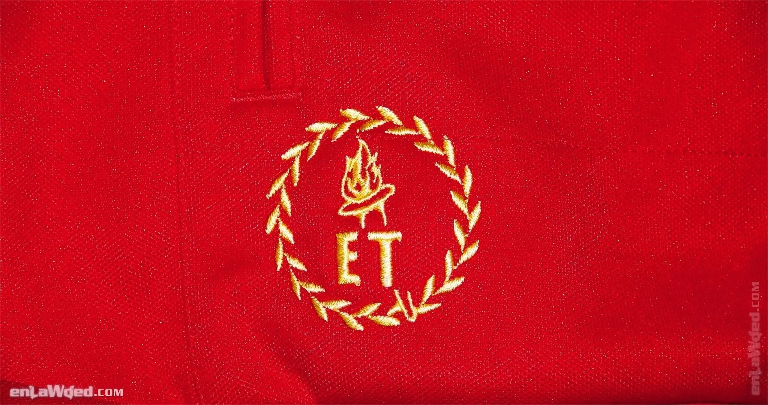 Torch flame icon in gold over red, with the two letters E and T for Ethiopia