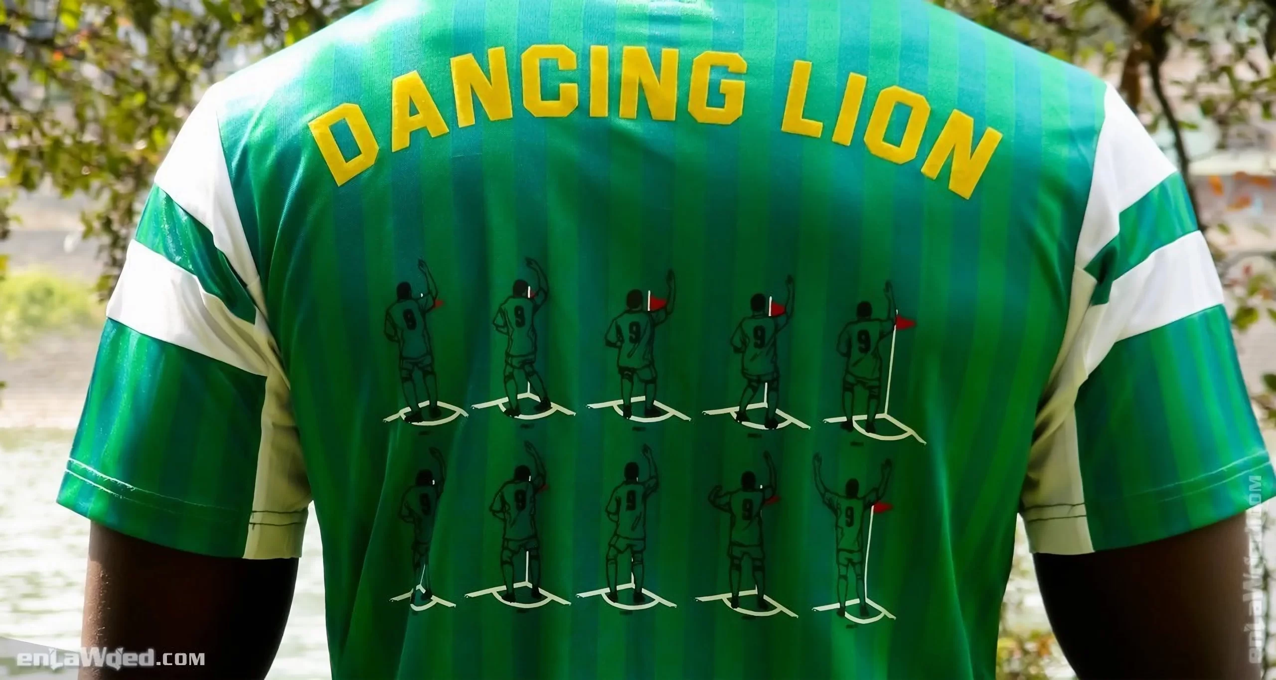 Men's 2006 Cameroon '90 Dancing Lion Jersey by Adidas: Intelligent (EnLawded.com file #lmchk90485ip2y122993kg9st)