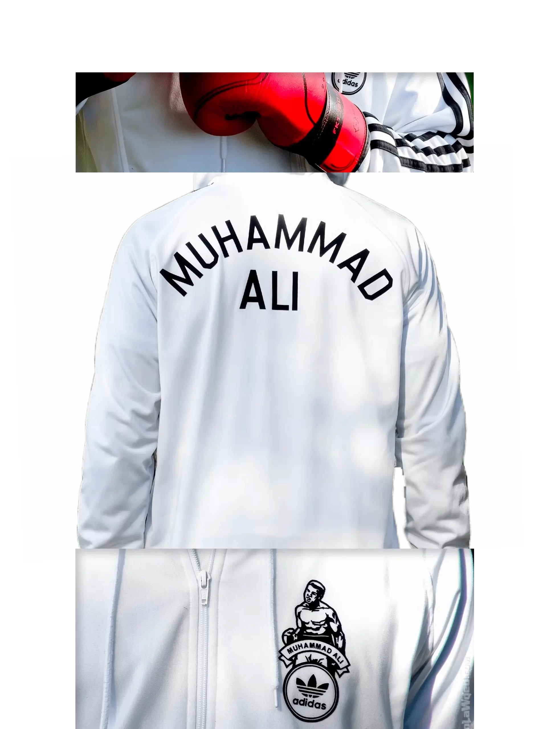 Men's 2005 Muhammad Ali Boxing Ring Hoodie by Adidas: Force-fed (EnLawded.com file #lmchk78158ip2y124785kg9st)