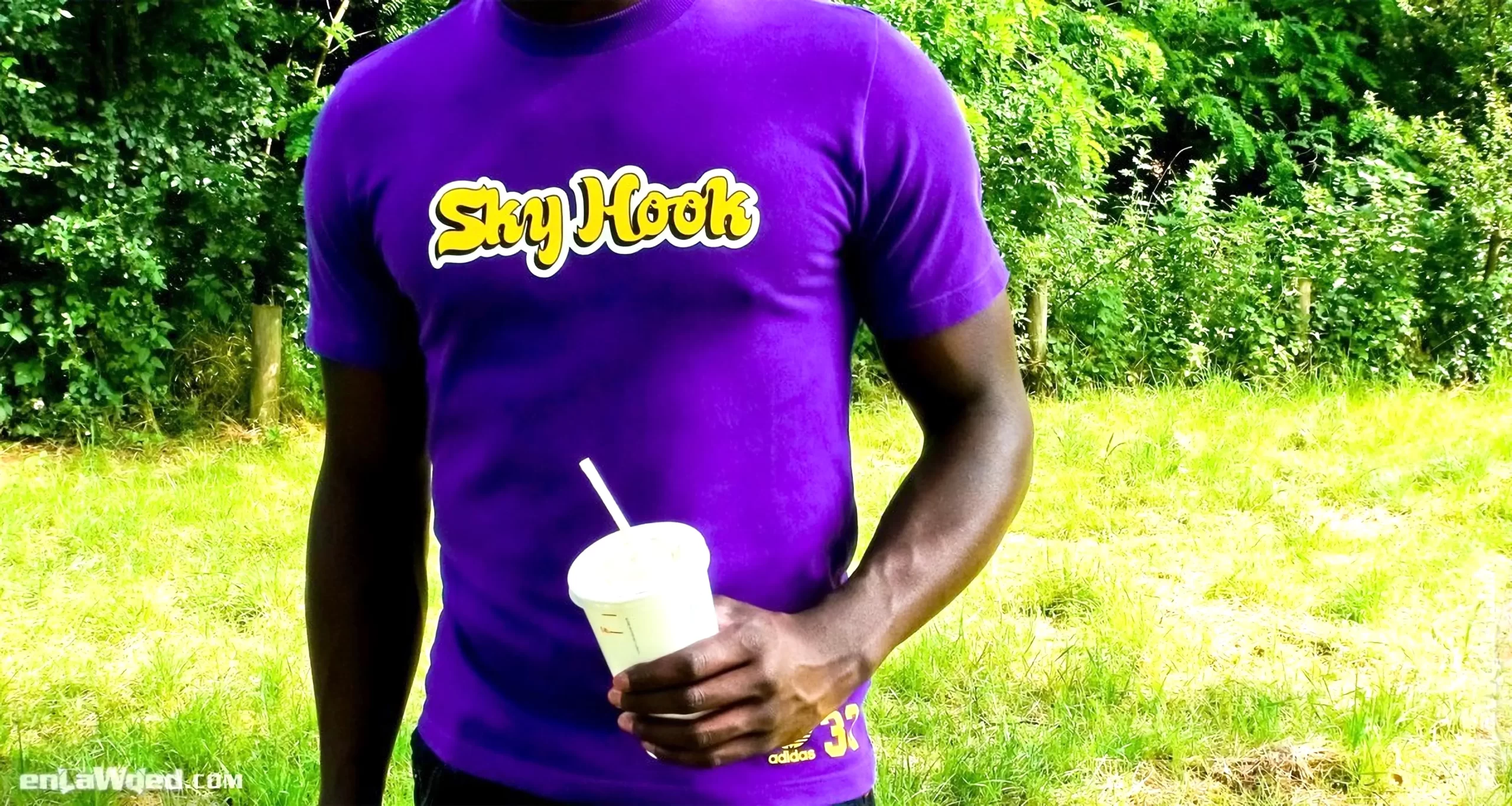 Men’s 2004 SkyHook Lakers #33 T-Shirt by Adidas: Unburdened (EnLawded.com file #lmchk90347ip2y124407kg9st)