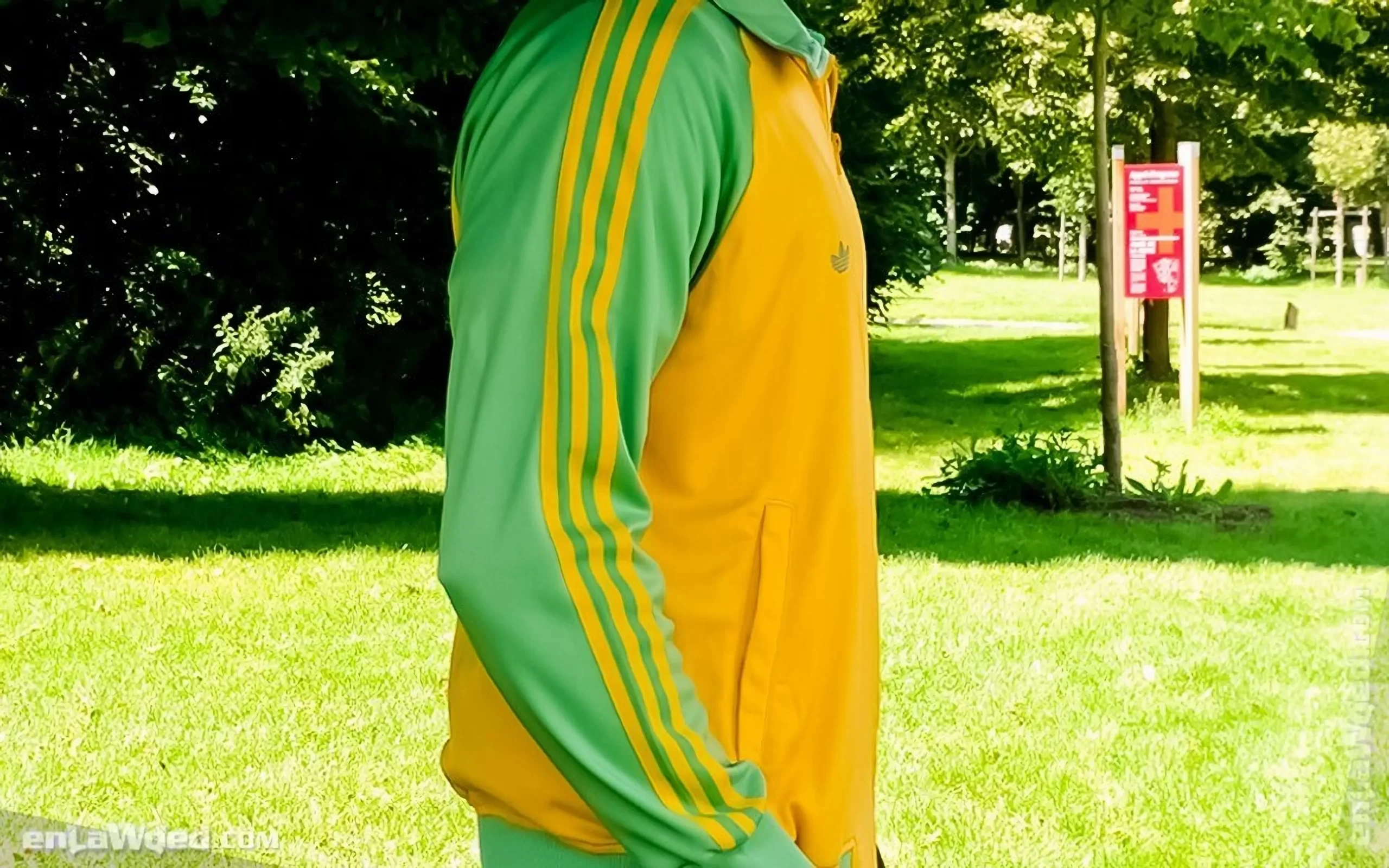 Men’s 2003 Zimbabwe Track Top by Adidas: Indulgence (EnLawded.com file #lmcgzpor5t6taprooug)