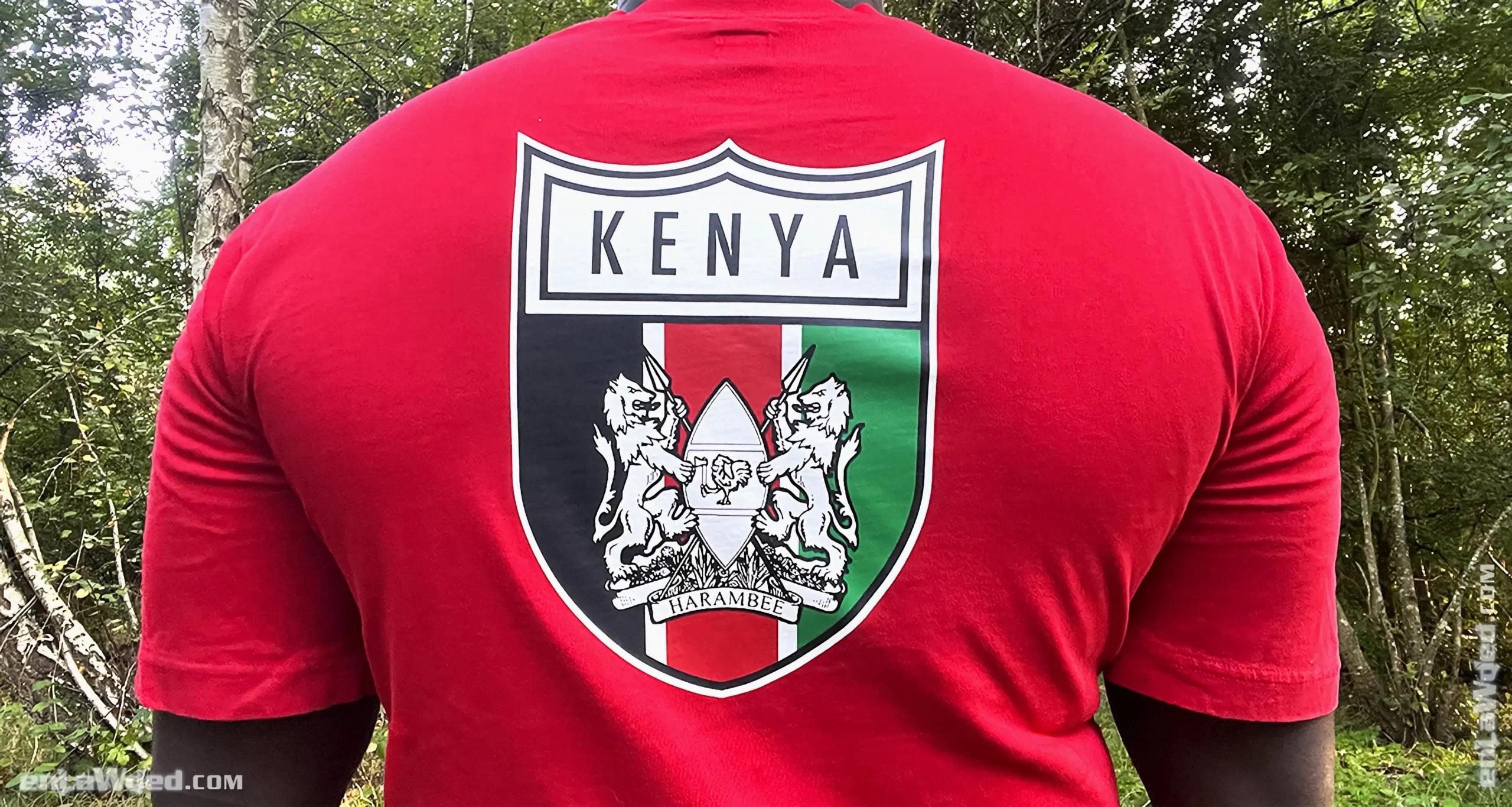 Men’s 2007 Kenya Harambee T-Shirt by Adidas Originals: Overnight (EnLawded.com file #lp1nbgxp126185do4jydnb6a)